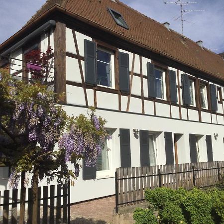 Gite Cote Jardin Ingersheim Kültér fotó